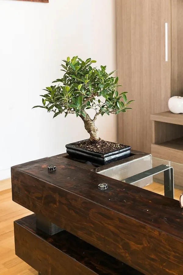 Home House Borgo Pio 195 روما إيطاليا